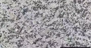 海口 芙蓉白（芝麻白大花）火烧面