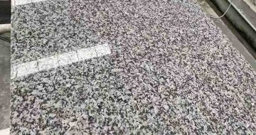海口 芙蓉白光面