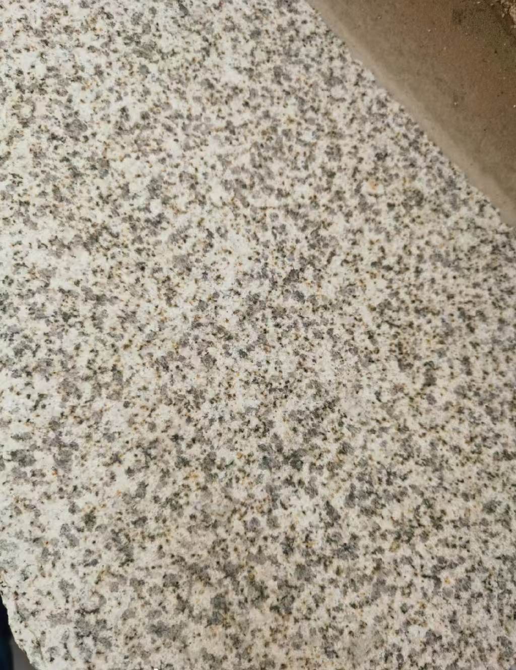 海口 黄金麻中黄光面