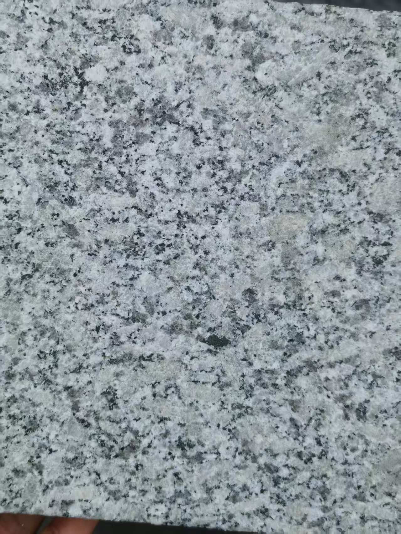 海口 芙蓉白火烧面