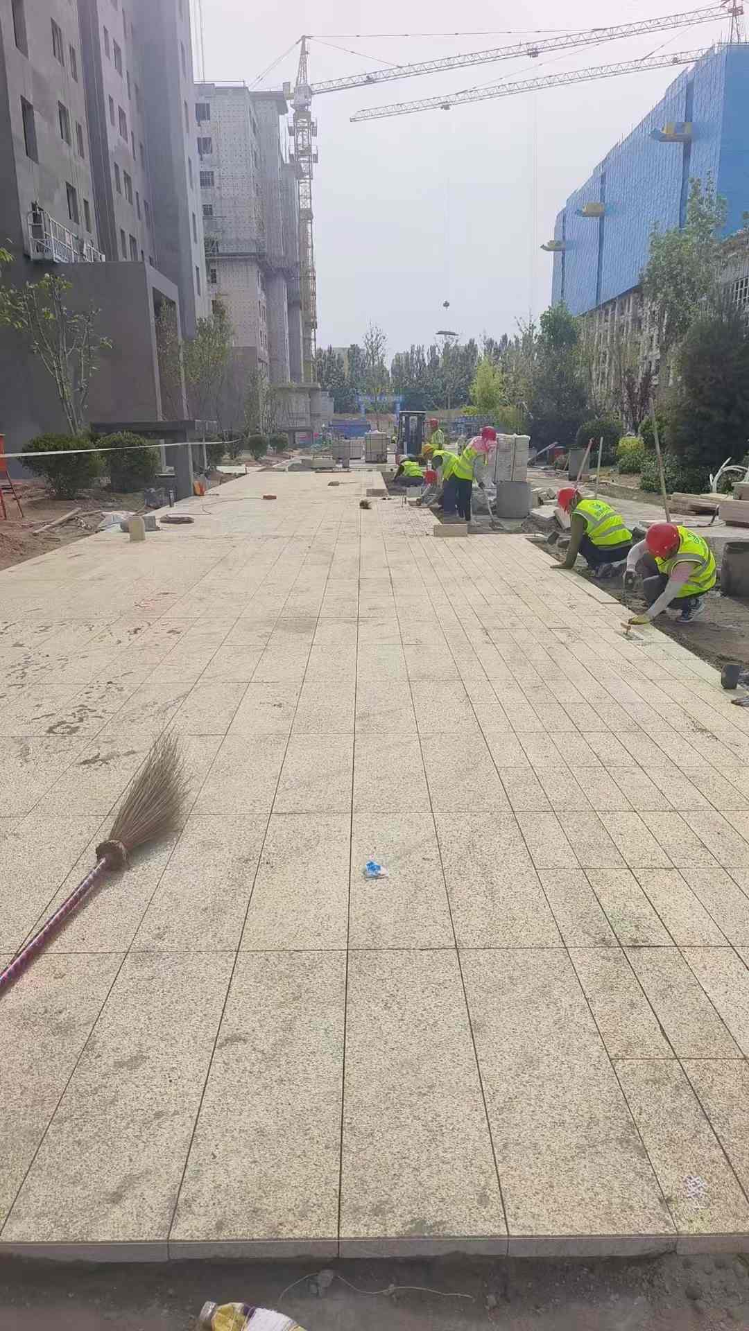 海口黄金麻荔枝面地铺案例